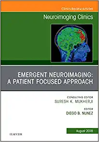 Emergent Neuroimaging: A Patient Focused Approach, An Issue of Neuroimaging Clinics of North America (Volume 28-3) (The Clinics: Radiology, Volume 28-3)