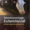 Enterohemorrhagic Escherichia coli and Other Shiga Toxin-Producing E. coli ()