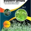 Flora of Eastern Ghats Vol 7: Grass Gymnosperms Additions Keys to the Families and Floristics Analysis