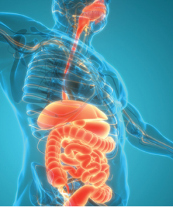 Gastroenterology and Hepatology Board Review 2023