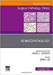 Hematopathology, An Issue of Surgical Pathology Clinics (Volume 12-3) (The Clinics: Surgery, Volume 12-3)