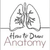 How To Draw Anatomy