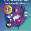 International Examples of Lean in Healthcare