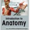 Introduction to Anatomy