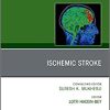 Ischemic Stroke, An Issue of Neuroimaging Clinics of North America (Volume 28-4) (The Clinics: Radiology, Volume 28-4)