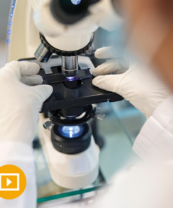 Need-to-Know Pathology: A Review for Physicians in a Hurry 2023
