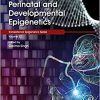 Perinatal and Developmental Epigenetics (Volume 35) (Translational Epigenetics, Volume 35)