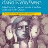 Psychology of Gang Involvement (Routledge Studies in Criminal Behaviour)