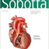 Sobotta, Atlas der Anatomie Band 2: Innere Organe, 25th ed