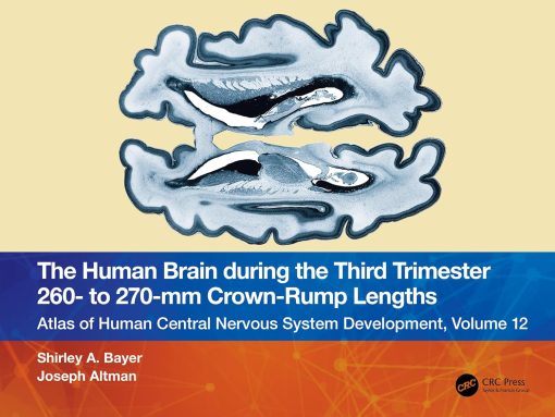 The Human Brain during the Third Trimester 260– to 270–mm Crown-Rump Lengths: Atlas of Central Nervous System Development, Volume 12 (Atlas of Central Nervous System Development, 12) (Original PDF from Publisher)