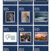British Journal of Surgery 2023