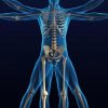Internal med GettyImages 157315276014 4