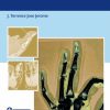 Jerome Fingertip