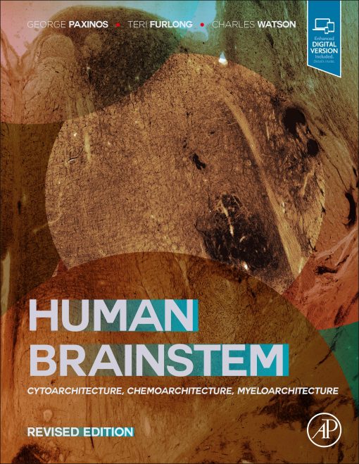 Human Brainstem: Cytoarchitecture, Chemoarchitecture, Myeloarchitecture (Original PDF From Publisher)
