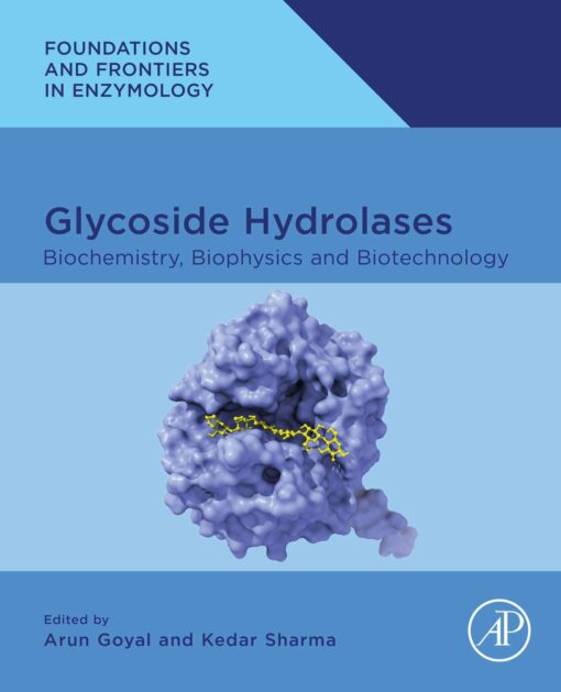 Glycoside Hydrolases: Biochemistry, Biophysics, and Biotechnology (EPUB)