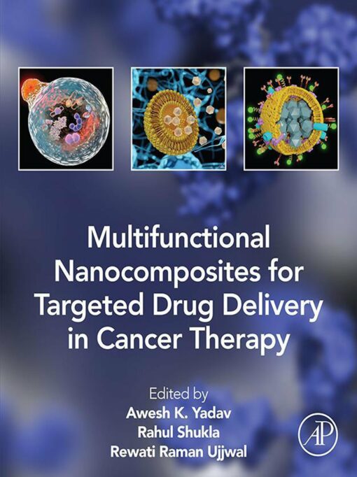 Multifunctional Nanocomposites for Targeted Drug Delivery in Cancer Therapy (EPUB)