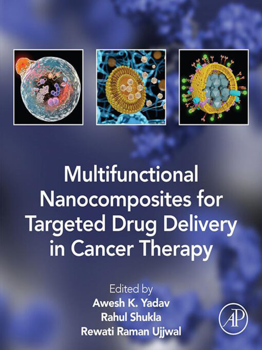 Multifunctional Nanocomposites for Targeted Drug Delivery in Cancer Therapy (Original PDF from Publisher)