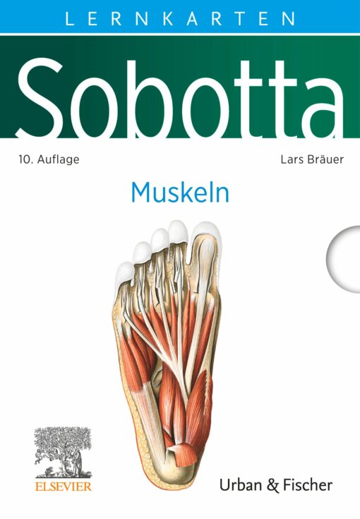 Sobotta Lernkarten Muskeln, 10th Edition (Original PDF from Publisher)